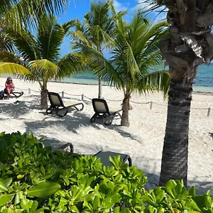 Beachfront Loft Amara Apartment